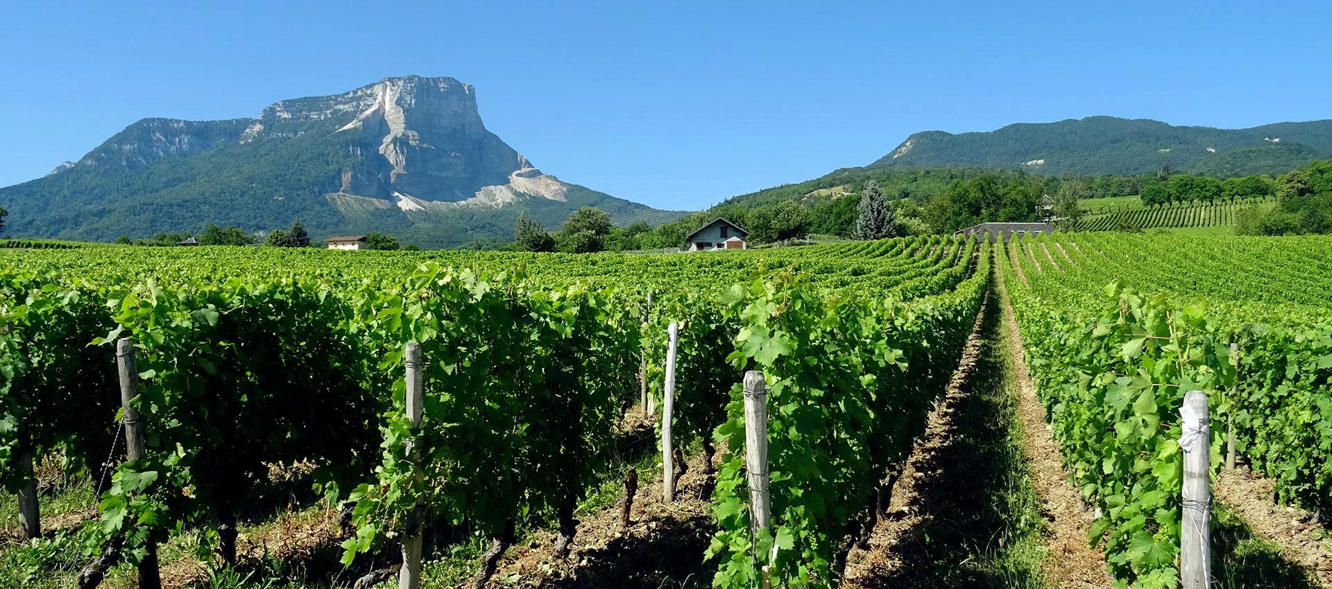 parcelles vins adrien veyron et fils le granier